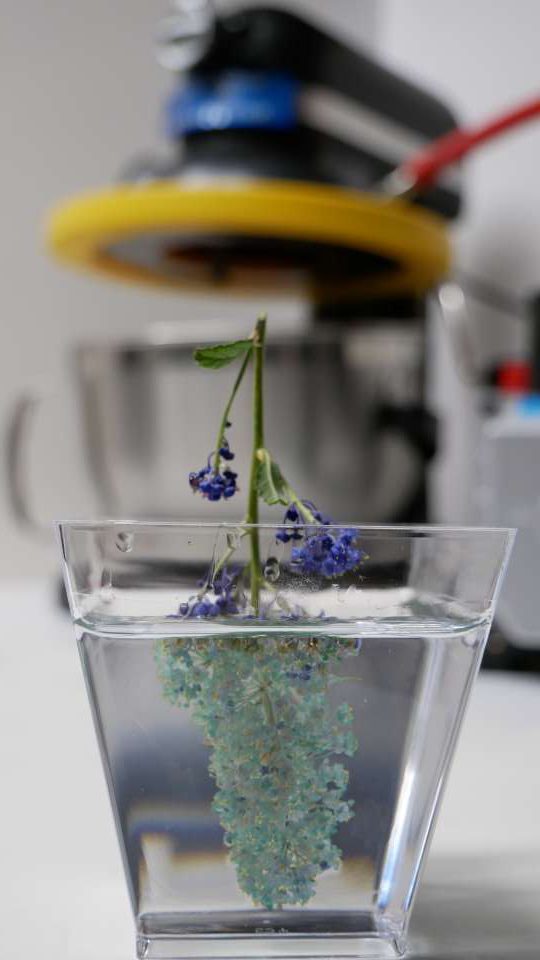 Vacuum Mixer - Epoxy Resin Casting