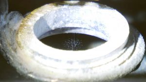 ESI-Ion-Trap-High-Voltage-Power-Supply-LabMate-SpruceScience-Ring ESI Ion Trap - High Voltage Power Supply - LabMate - Spruce Science - Trapped