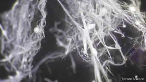 Electrospun Fibers of ZnO & PVP – Electrospinning – Spruce Science (1) Electrospun Fibers of ZnO & PVP - Electrospinning - Spruce Science